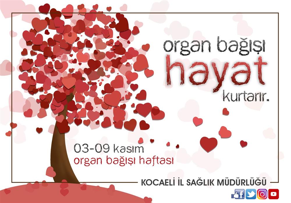 Organ/Doku Nakli Ve Bağışı